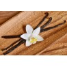 Organic & fairtrade Bourbon vanilla from Madagascar gourmet 14 / 17...