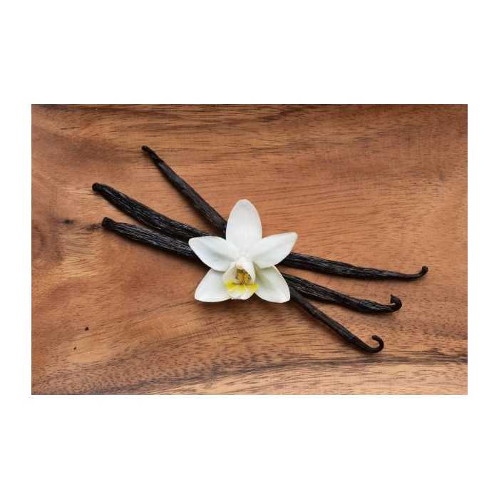 Organic & fairtrade Bourbon vanilla from Madagascar gourmet 14 / 17...