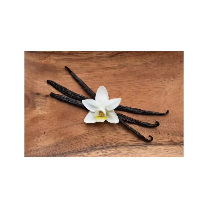 Vanille Bourbon de Madagascar gourmet 14/17cm bio & équitable - 3 G...