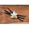 Organic & fairtrade Bourbon vanilla from Madagascar gourmet 14 / 17...