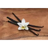 Vanille Bourbon de Madagascar gourmet 14/17cm bio & équitable - 3 G...