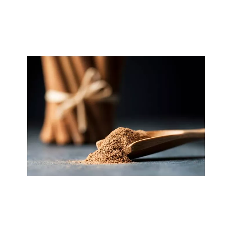 Organic & fairtrade cinnamon powder PGI from Ceylon in Sri Lanka