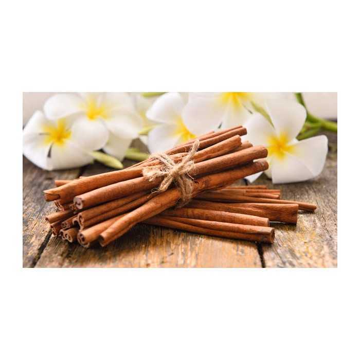 Organic cassia cinnamon stick or Saigon cinnamon from Vietnam - Pre...