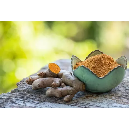 White turmeric powder organic & fairtrade from Kampot - Direct prod...