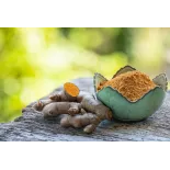Curcuma blanc en poudre bio & fairtrade de Kampot - Direct producteur
