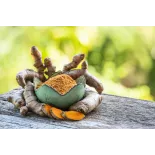 Curcuma blanc en poudre bio & fairtrade de Kampot - Direct producteur