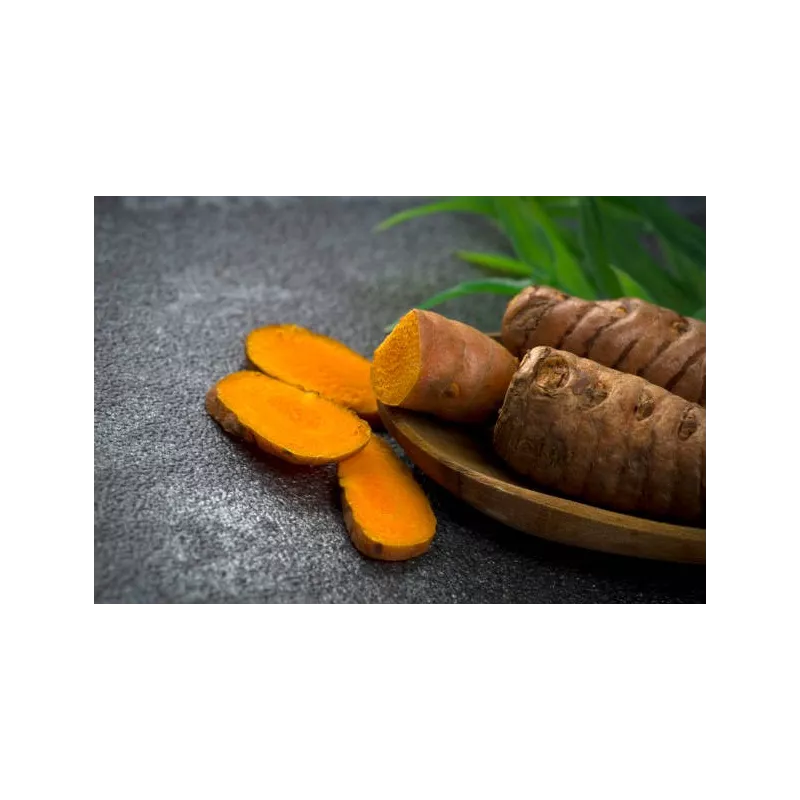 Pétales de Curcuma séchés bio & fairtrade de Kampot - Direct produc...