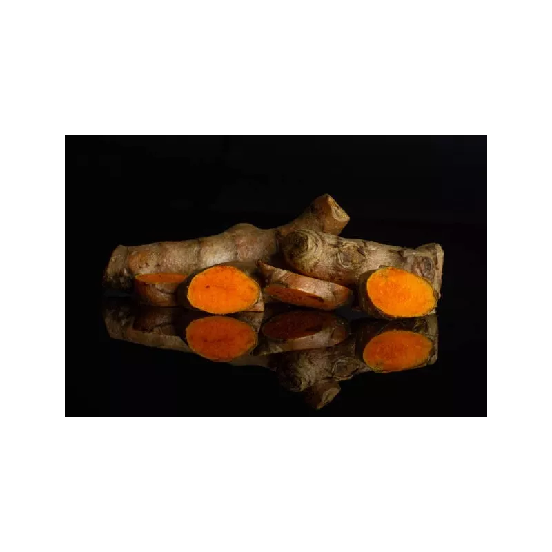 Pétales de Curcuma séchés bio & fairtrade de Kampot - Direct produc...