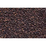 Organic fairtrade smoked black pepper PGI from Kampot - direct prod...