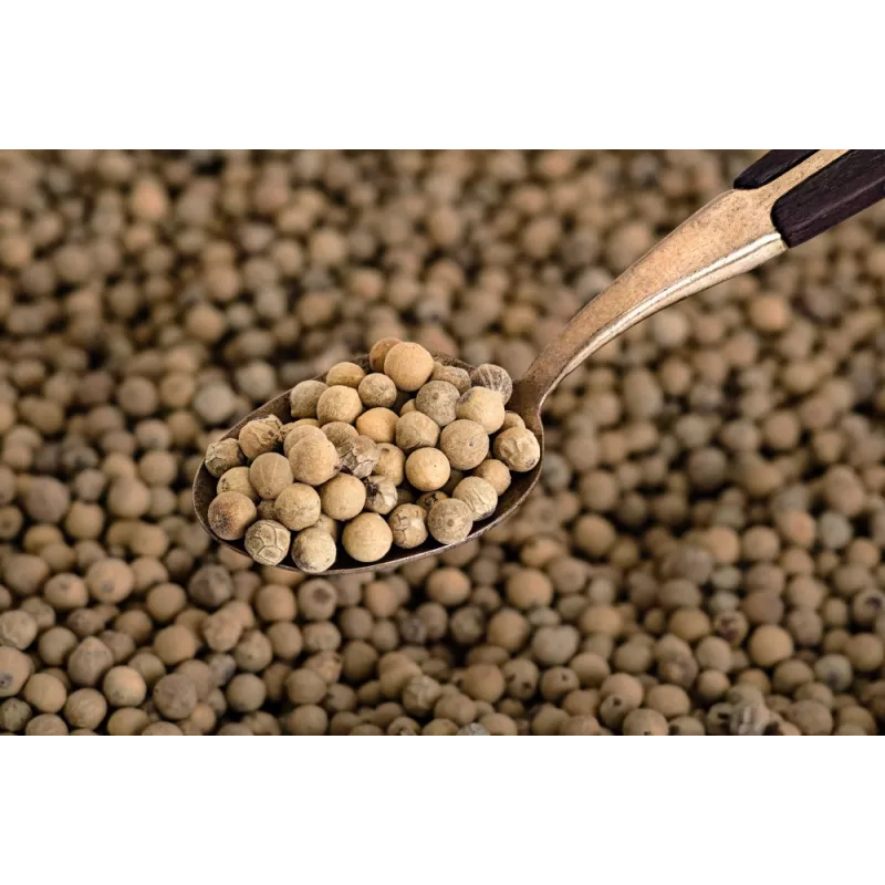 Poivre blanc bio fairtrade IGP de Kampot - direct producteur
