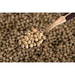 Poivre blanc bio fairtrade IGP de Kampot - direct producteur