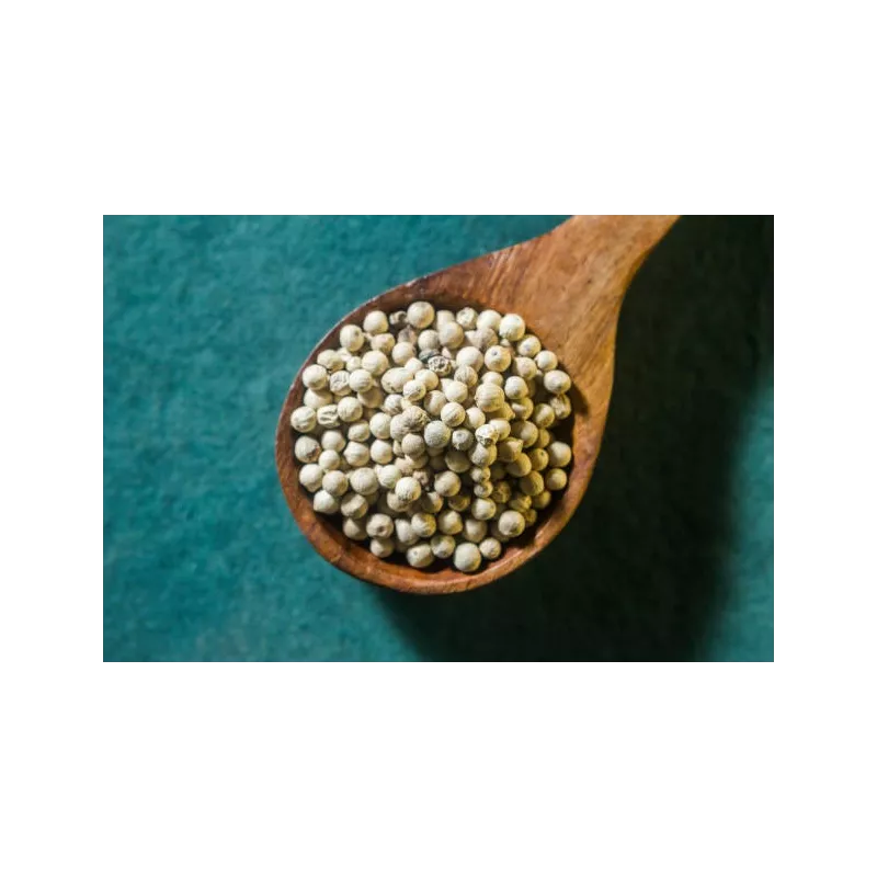 Poivre blanc bio fairtrade IGP de Kampot - direct producteur