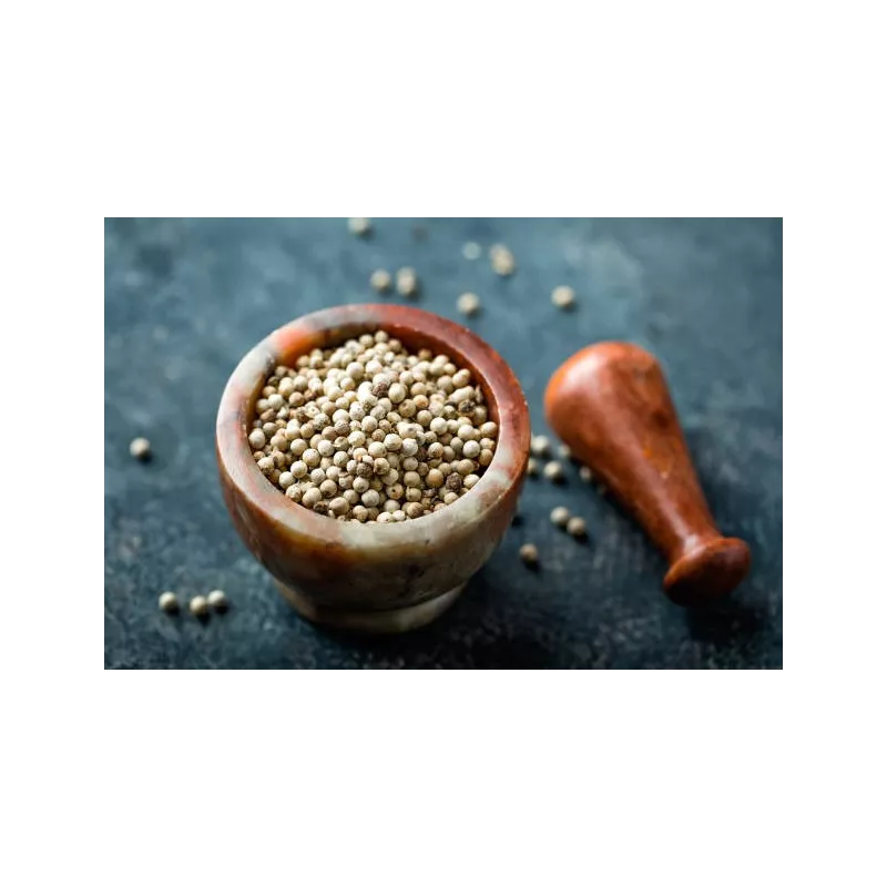 Organic fairtrade white pepper PGI from Kampot - direct producer