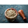Organic fairtrade white pepper PGI from Kampot - direct producer