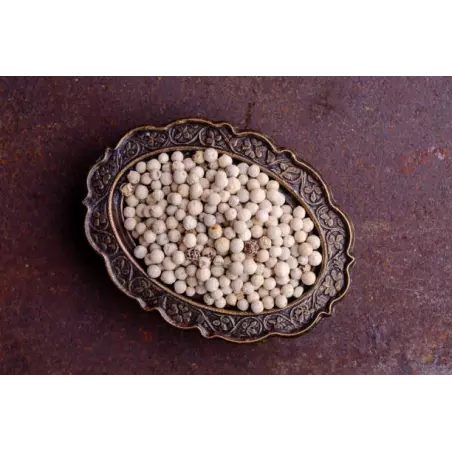 Organic fairtrade white pepper PGI from Kampot - direct producer