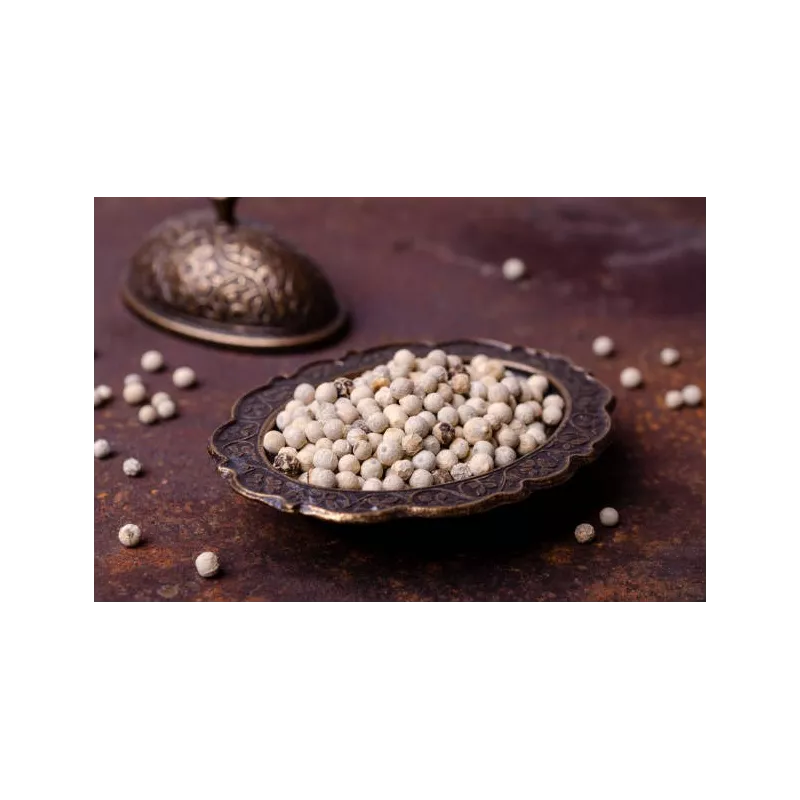 Poivre blanc bio fairtrade IGP de Kampot - direct producteur
