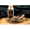 Organic fairtrade black piper longum PGI from Kampot - direct producer