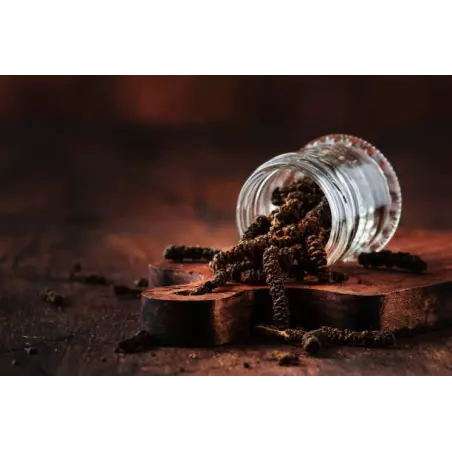 Poivre long rouge bio fairtrade IGP de Kampot - direct producteur