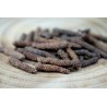 Organic fairtrade red piper longum PGI from Kampot - direct producer