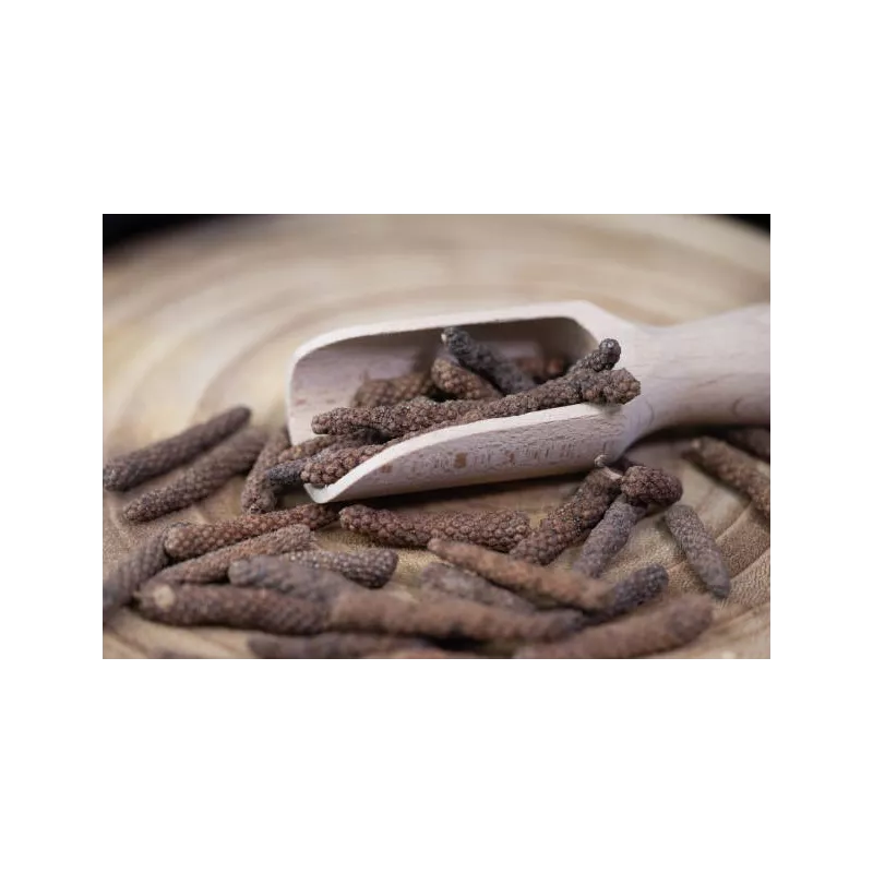 Organic fairtrade red piper longum PGI from Kampot - direct producer