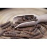 Organic fairtrade red piper longum PGI from Kampot - direct producer