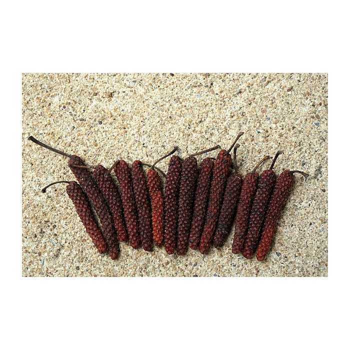 Organic fairtrade red piper longum PGI from Kampot - direct producer
