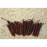 Organic fairtrade red piper longum PGI from Kampot - direct producer