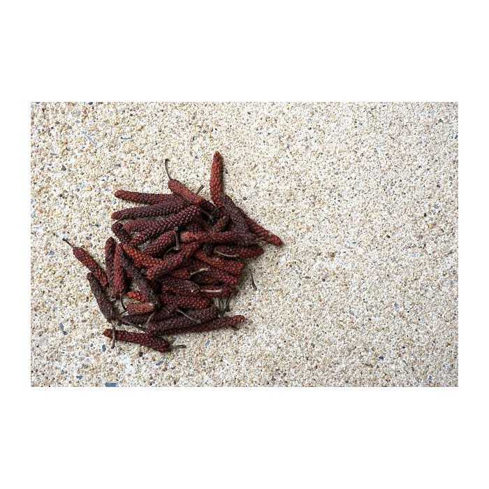 Organic fairtrade red piper longum PGI from Kampot - direct producer