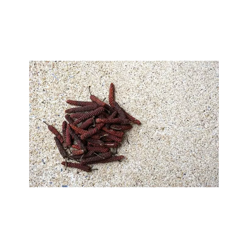 Organic fairtrade red piper longum PGI from Kampot - direct producer