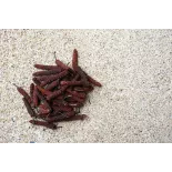 Organic fairtrade red piper longum PGI from Kampot - direct producer