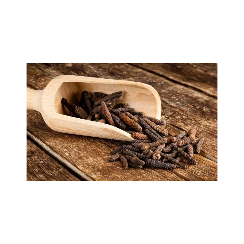 Organic fairtrade red piper longum PGI from Kampot - direct producer