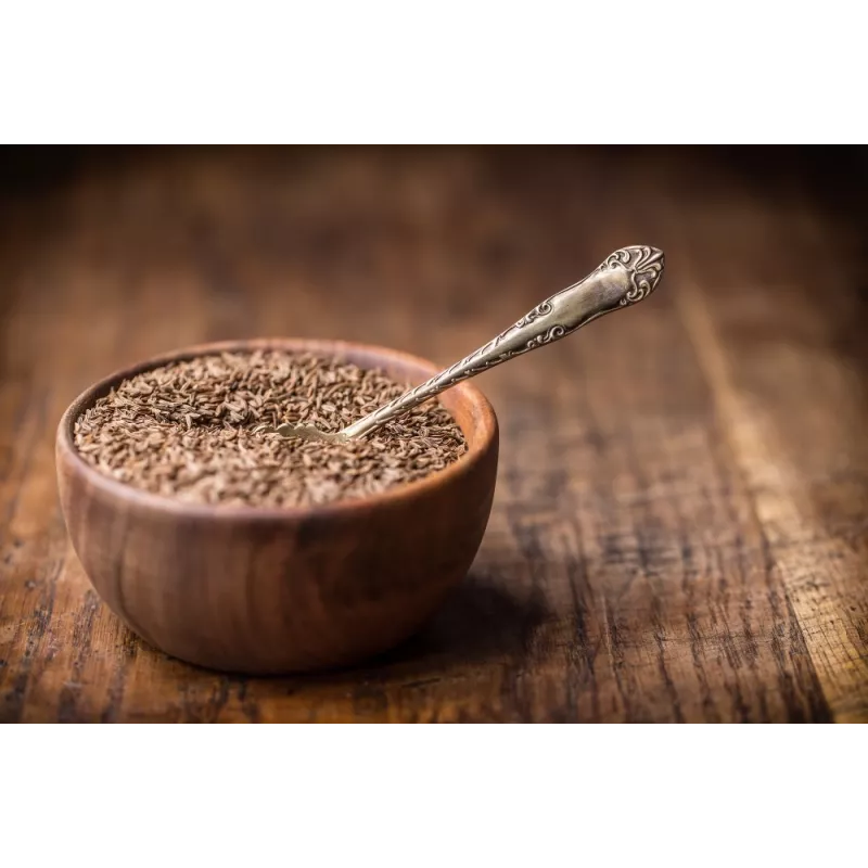 Graines d'ajowan ou ajwain bio du Rajasthan en Inde