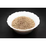 Graines d'ajowan ou ajwain bio du Rajasthan en Inde