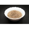 Organic Ajowan seeds from Rajasthan in India