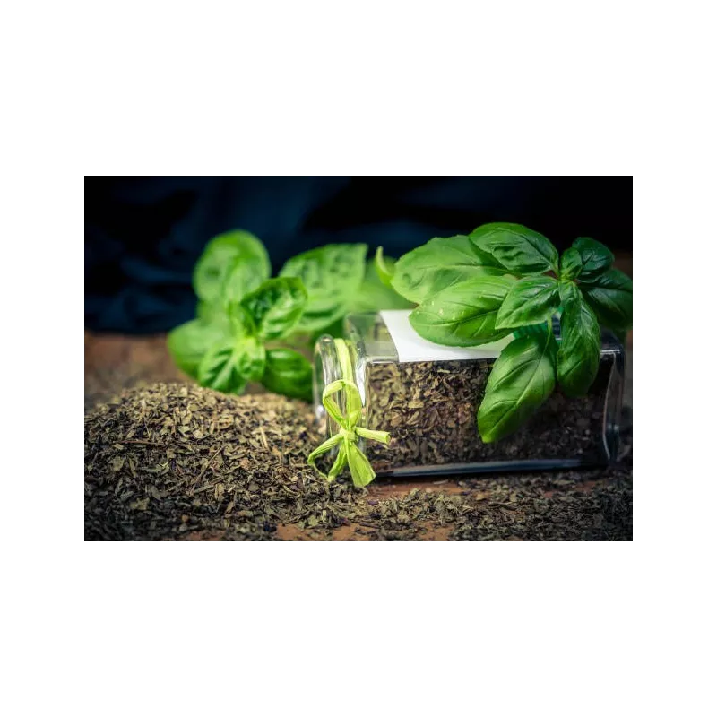 Basilic Séché Bio de France - Direct producteur
