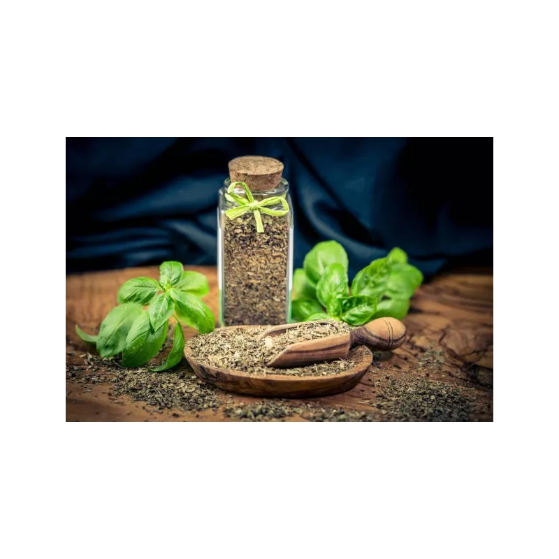 Basilic Séché Bio de France - Direct producteur