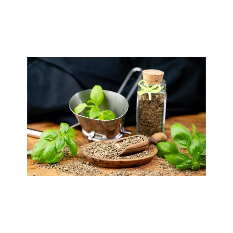 Basilic Séché Bio de France - Direct producteur