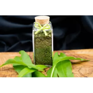 Ail des Ours séché Bio de France - Direct producteur