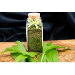 Organic dried bear garlic from France - Direct producer
