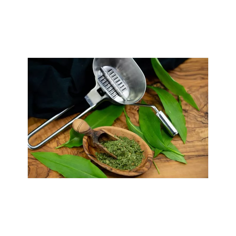 Ail des Ours séché Bio de France - Direct producteur