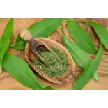 Ail des Ours séché Bio de France - Direct producteur