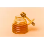 Pur Miel bio de cactus de Madagascar