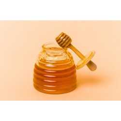 Pure Organic Flower Honey PDO from Corsica - Direct Producer