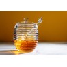Pure Organic Honeydew Honey PDO from the Corsican maquis - Direct p...