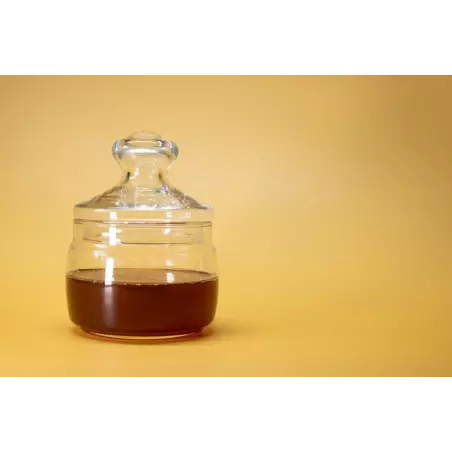 Pure Organic Honeydew Honey PDO from the Corsican maquis - Direct p...