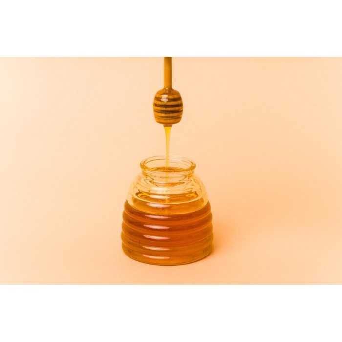 Pure Organic Honeydew Honey PDO from the Corsican maquis - Direct p...