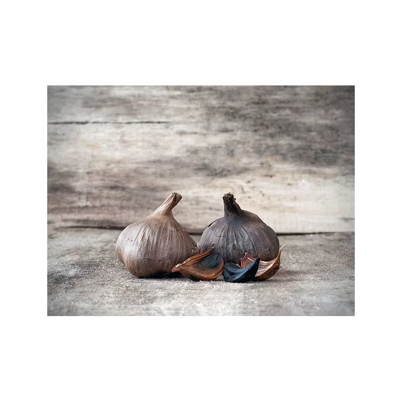 Organic black garlic PGI from Drome in France - Direct Producer
