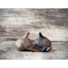 Organic black garlic PGI from Drome in France - Direct Producer