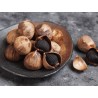 Organic black garlic PGI from Drome in France - Direct Producer