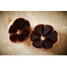 Organic black garlic PGI from Drome in France - Direct Producer